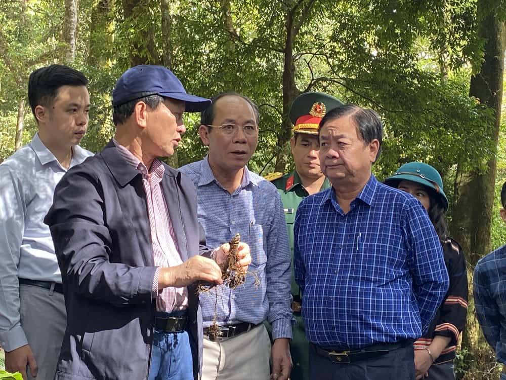 Kon Tum Provincial Party Secretary Duong Van Trang and leaders of central ministries and branches visit the medicinal garden in Tu Mo Rong. Photo: Thanh Tuan
