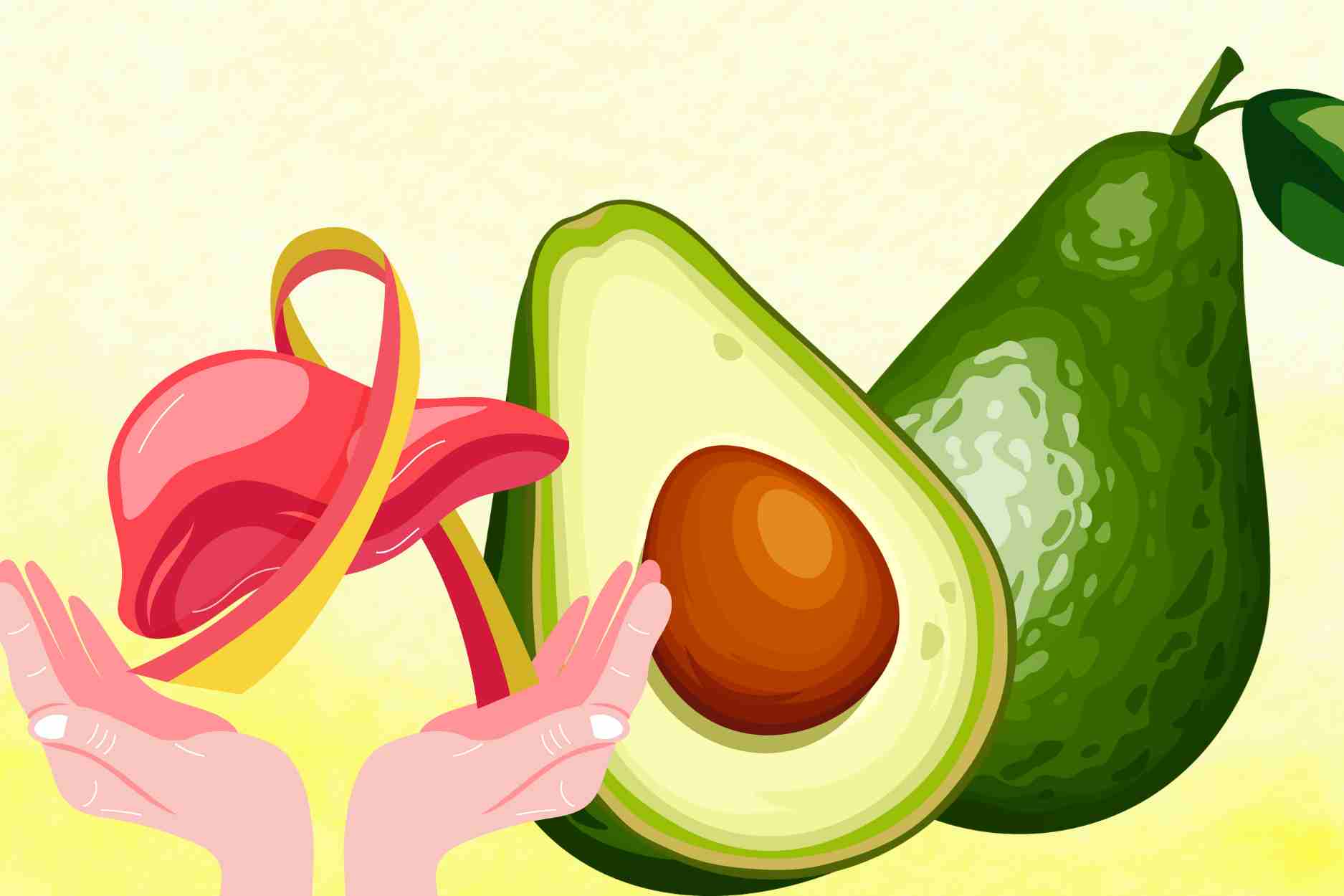 The golden time to eat avocado is when it is most effective in supporting liver detoxification. Graphics: Dinh Dinh