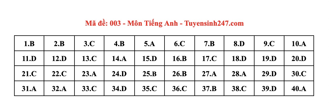 Dap an tham khao mon Tieng Anh vao lop 10 tai Ha Noi ma de 003. Anh: Tuyensinh247