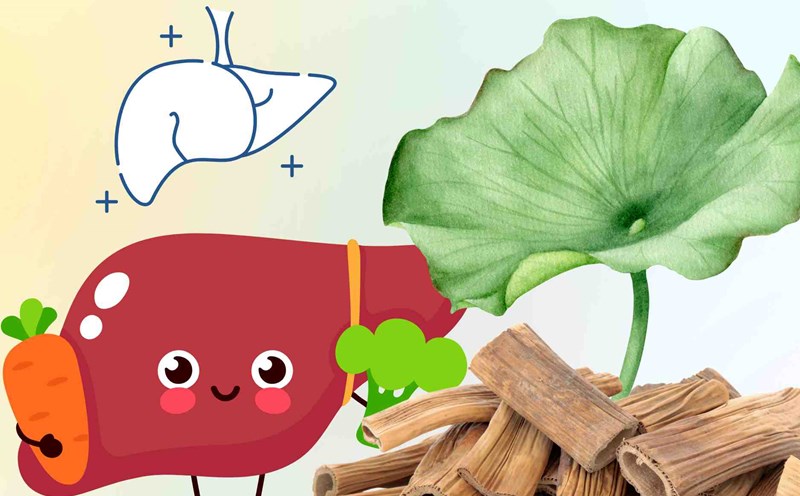 Reheat and cool the liver with easy-to-find natural remedies