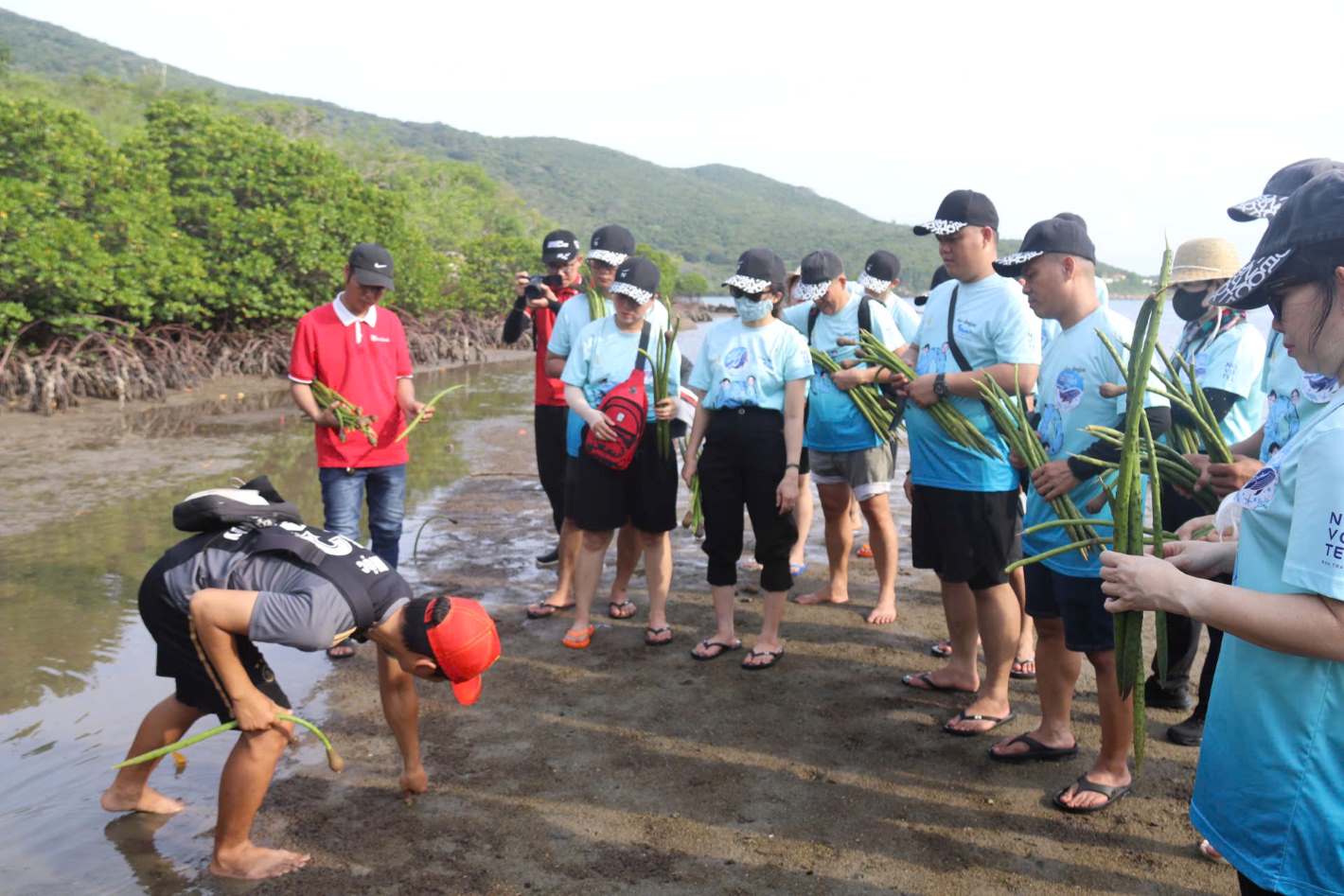 Nhan vien Ban Quan ly Vinh Nha Trang huong dan ky thuat trong cay duoc. Anh: Phuong Linh