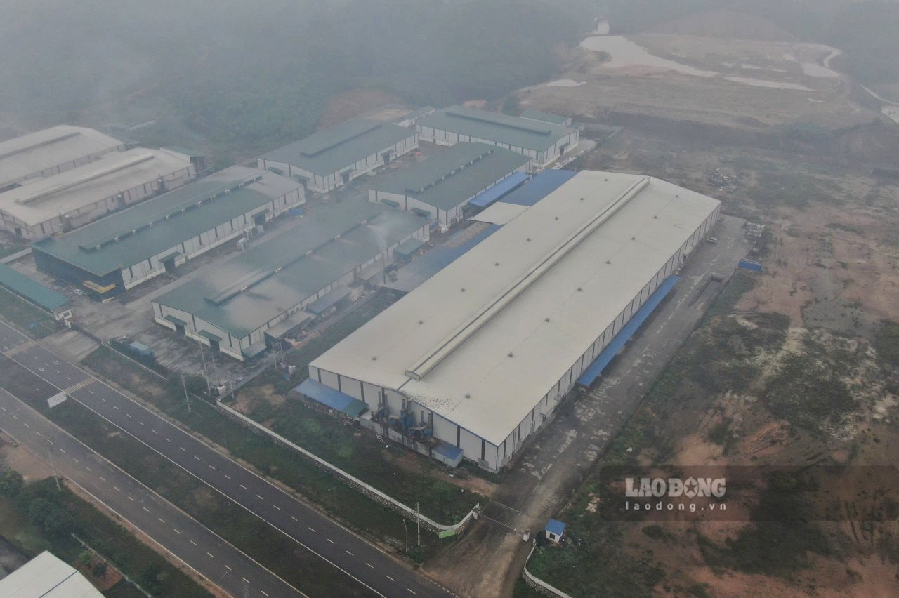 MERIDA Wood Industry Company Limited, which is being suspended, is still blatantly operating. Photo: Van Duc.