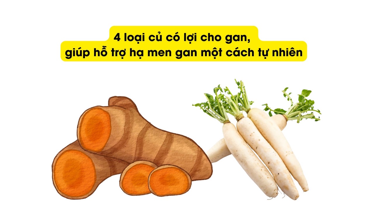 White radish helps lower liver enzymes effectively. Graphic photo: HUENG SON