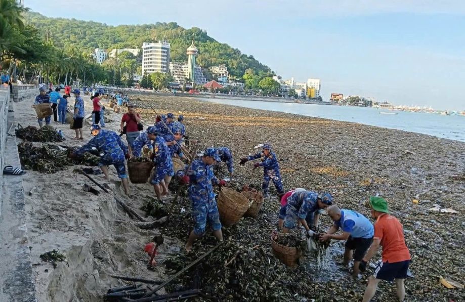 2.Can bo, chien si Trung doan 251 chung tay bao ve moi truong bai bien Vung Tau. Anh: Van Duong