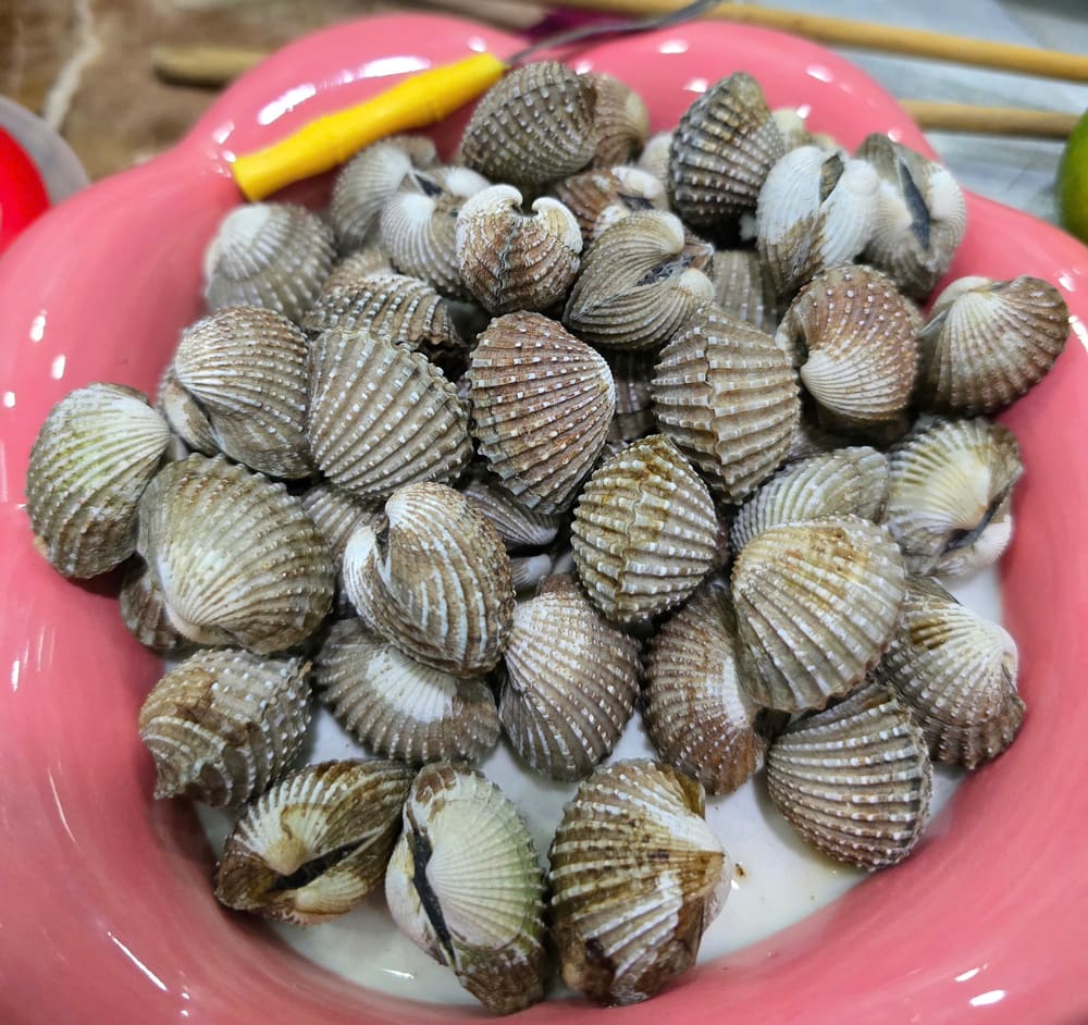 Elegir berberechos frescos frescos ayudara a las amas de casa a procesar una variedad de platos. Foto: Tuan dat
