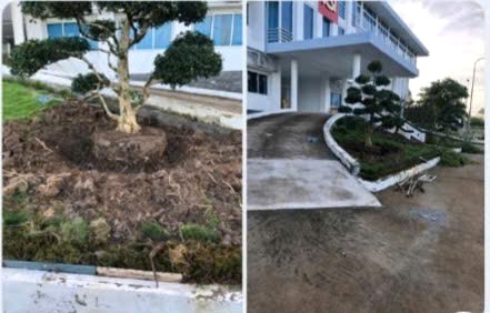 La escena de la base de plantas ornamentales en Vinh Loi y el Comite del Partido del Distrito de Bac Lace. Foto: Suministro de personas