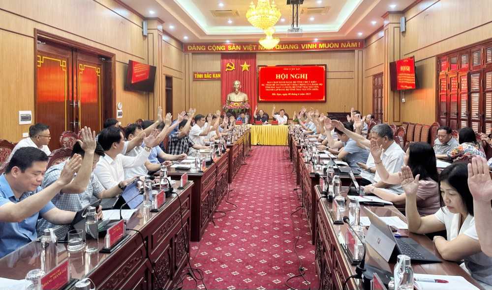 Approving the draft Project to end the activities of the Bac Kan Party Committee. Photo: Dang Bach