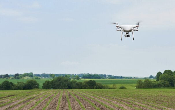 Technology applications are being applied in agriculture. Photo: Thuy Duong