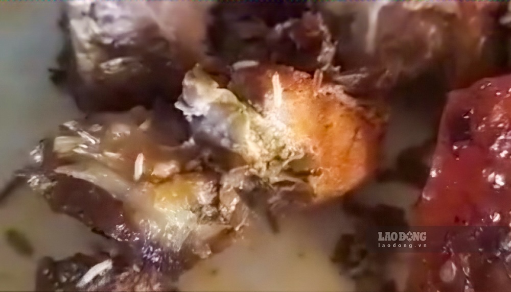 Hình ảnh nhiều con dòi bò lúc nhúc trong đĩa thịt heo quay. 