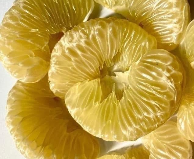 Grapefruit is one of the fruits that are said to be beneficial for liver health when eaten at breakfast. Photo: Kieu Vu