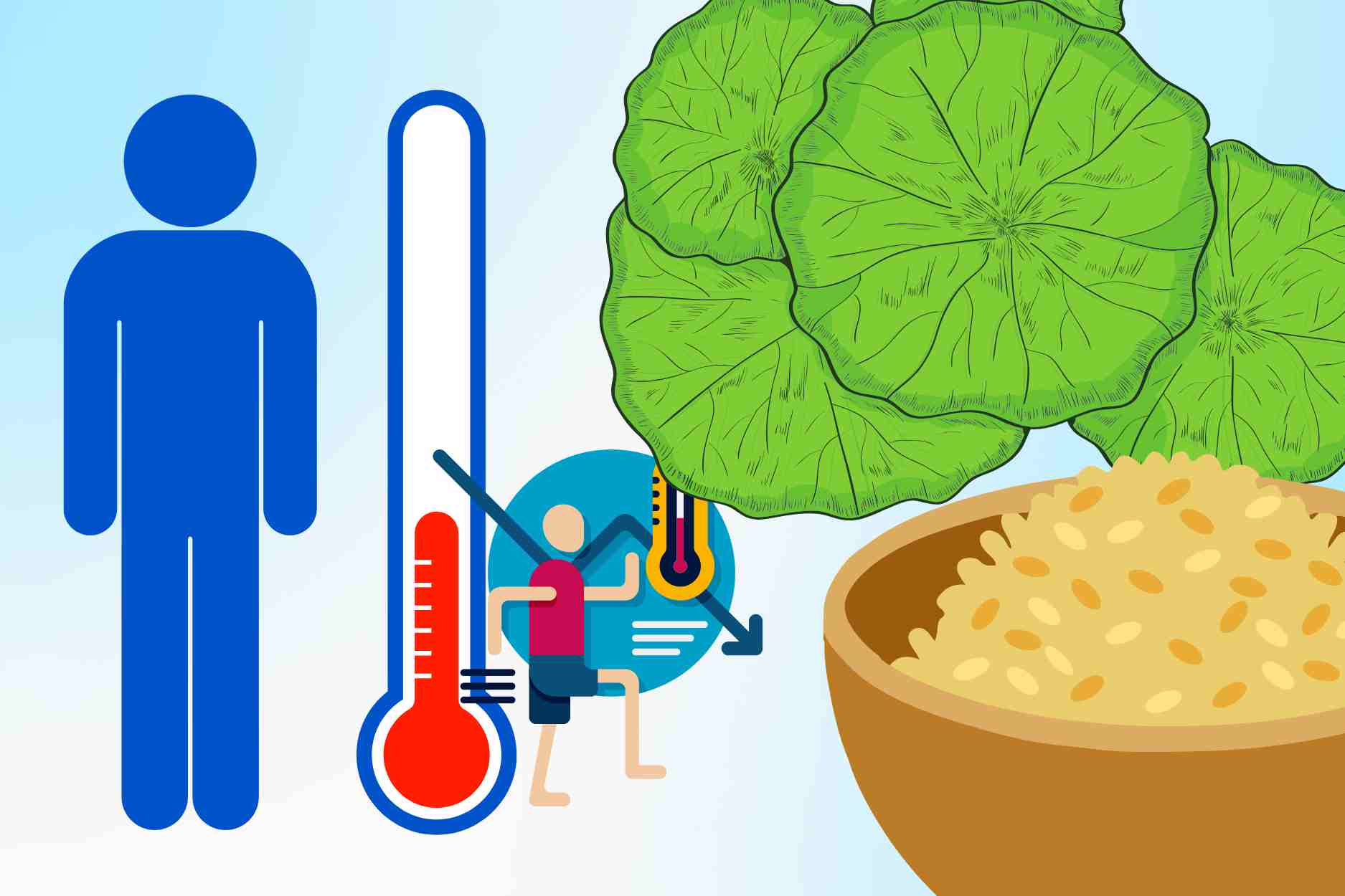 3 tipos de agua herbal ayudan a enfriar y nutrir el higado en los dias calurosos