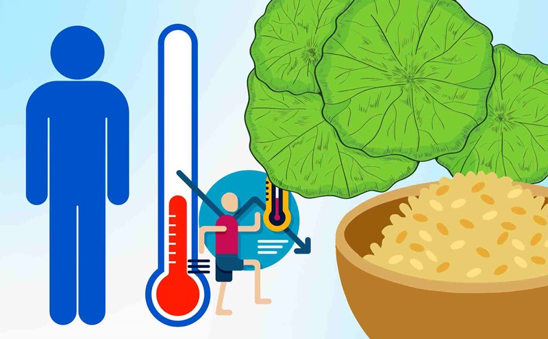 3 types of herbal drinks that help cool down and nourish the liver during hot weather