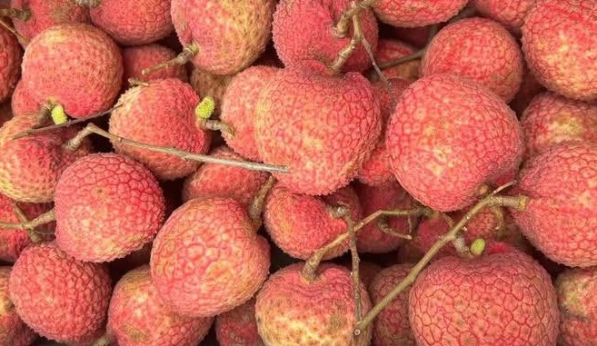 The glycemic index of fresh fabric is in the mid-range group but it is still necessary to control the quantity when including it in the diet. Photo: Kieu Vu