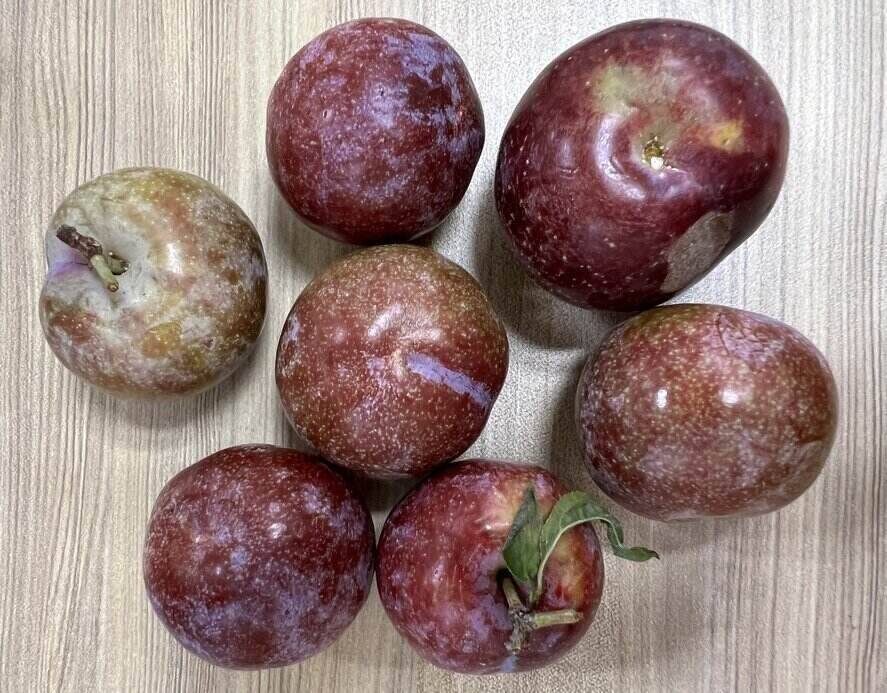Like some fresh fruits, plums are said to play an important role in supporting liver function. Photo: Kieu Vu
