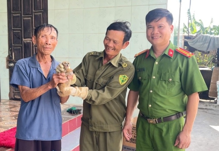People hand over rare culi individuals to the authorities. Photo: Quang Binh Police