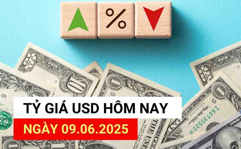USD exchange rate today 9.6.2025.