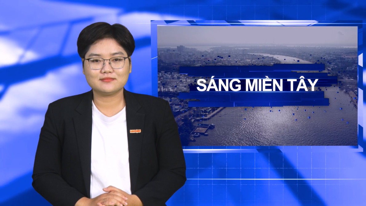 Mornon occidental 10.6: Dected por plantas ornamentales, el propietario vino al comite del partido del distrito para cavar el arbol