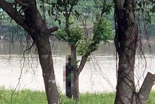La ubicacion del lugar donde los jovenes fueron suspendidos en las ramas de Thuong Tin, Hanoi. Foto: Trung Dung