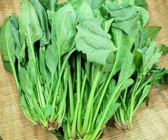 Spinach has many uses to help brighten eyes and nourish the liver. Photo: Kieu Vu.