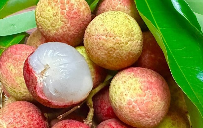 Eating fabric properly will not cause acne. Photo: Kieu Vu