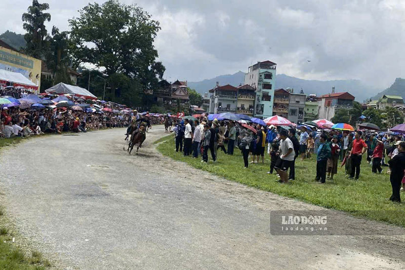 Miles de personas y turistas vinieron a Bac Ha para ver carreras de caballos. Foto: Dinh Dai