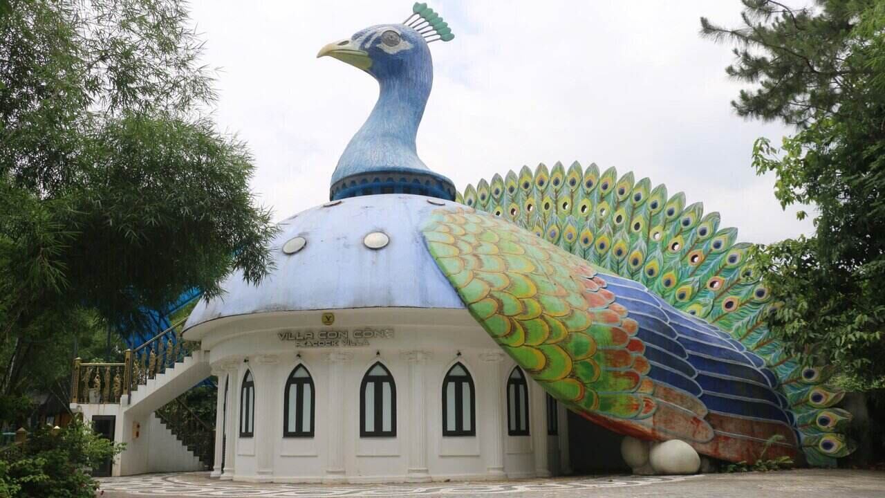 Villa Con Cong – cong trinh kien truc doc dao, mang hinh dang chu cong trong long lay voi duoi xoe ruc ro sac mau.