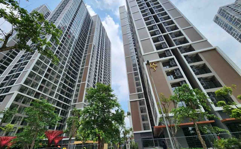 Research on loan packages for young people who want to buy a house. Photo: Cao Nguyen.