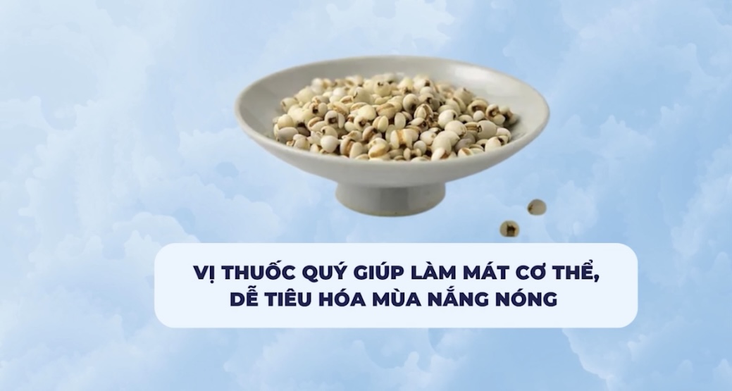 Precious medicine helps cool the body, easy to digest in hot weather