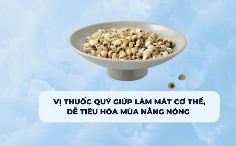 Precious medicine helps cool the body, easy to digest in hot weather