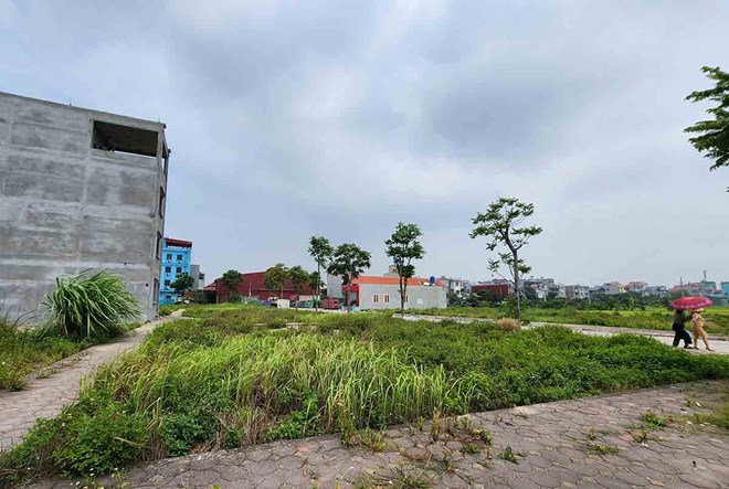 El Comite Permanente del Gobierno solicito aclarar inmediatamente las causas de los precios de la tierra. Foto: Highlands