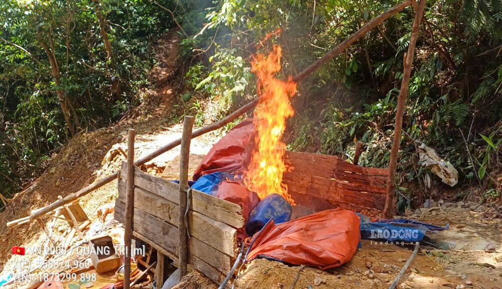 Dot lan trai cua vang tac dung len giua rung phong ho. Anh: PV