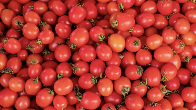 Tomatoes help reduce the risk of cancer, control blood sugar and nourish the skin. Photo: Thuy Duong