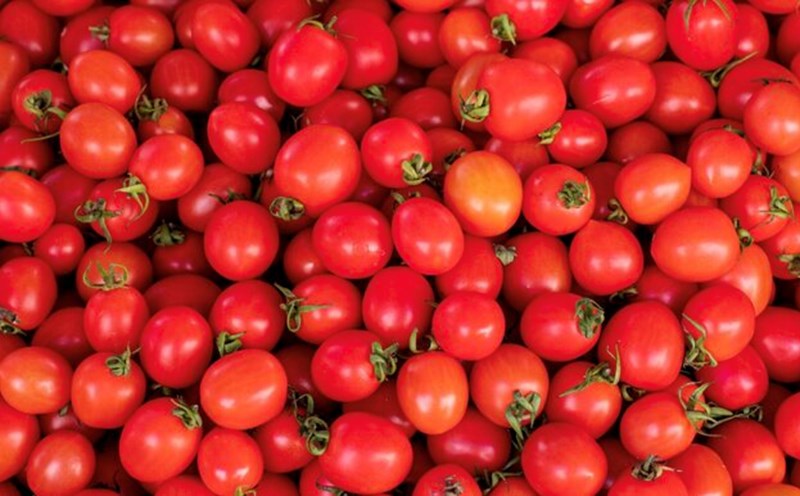 Tomatoes help reduce the risk of cancer, control blood sugar and nourish the skin. Photo: Thuy Duong