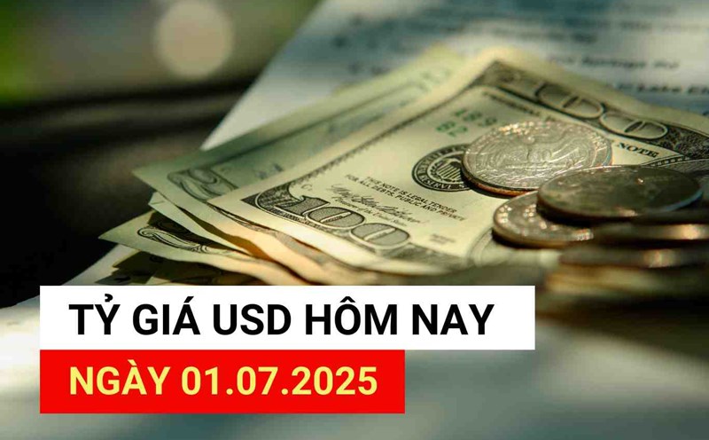 USD exchange rate today 1.7.2025.