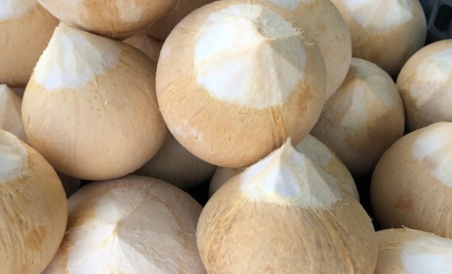 One of the familiar drinks with moisturizing properties is coconut water. Photo: Kieu Vu.