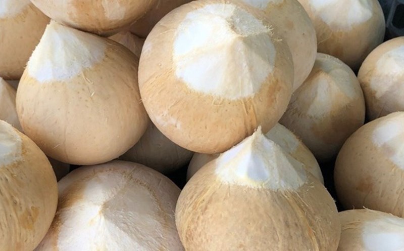 One of the familiar drinks with moisturizing properties is coconut water. Photo: Kieu Vu.