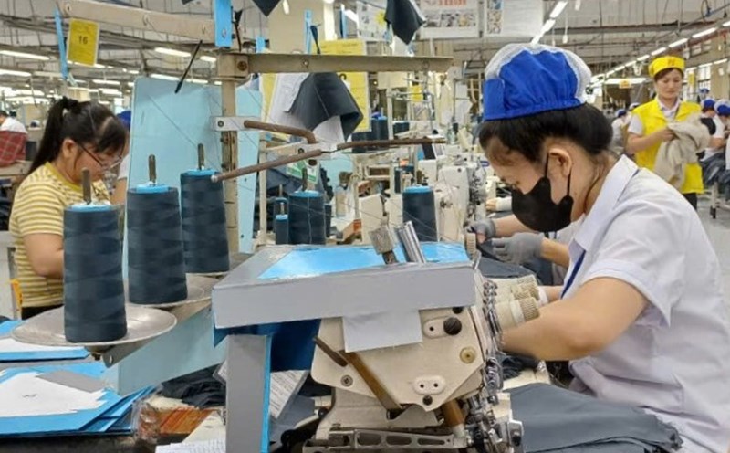 Workers who comply with the Party's policies, the State's policies and laws and have initiatives that bring high value benefits, have a scope of influence in the commune level and contribute to the training, fostering, and helping colleagues to improve their professional qualifications and skills can be awarded a Certificate of Merit by the Prime Minister. Photo: Nam Duong