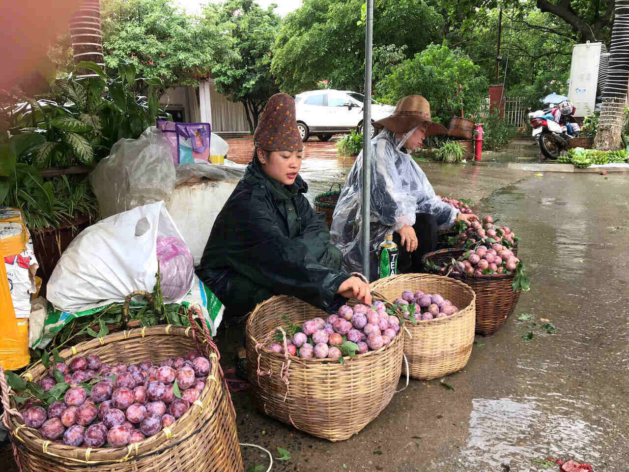 Anh: Truong Son