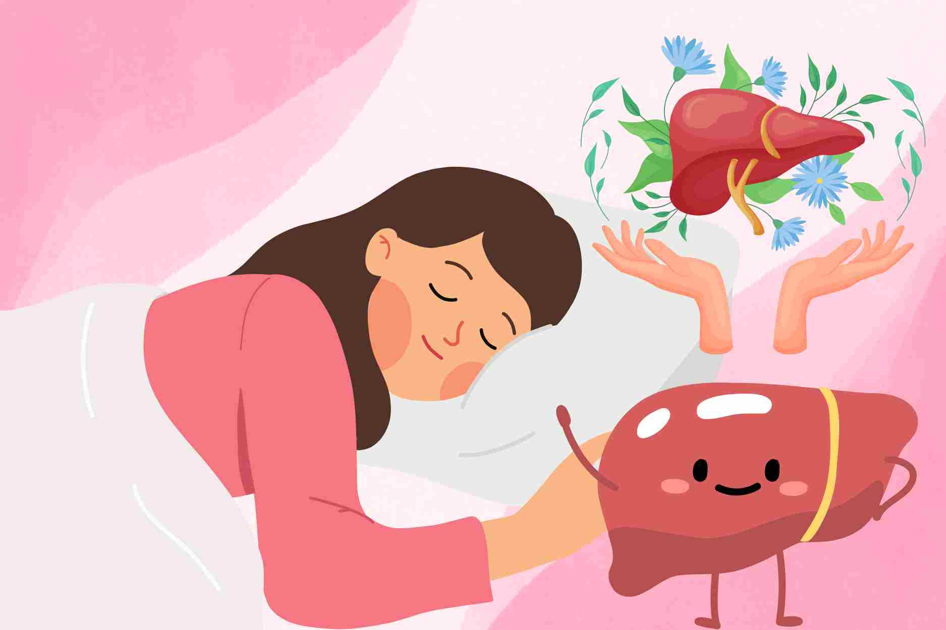 Here are herbal remedies to help sleep well and cool the liver during the summer