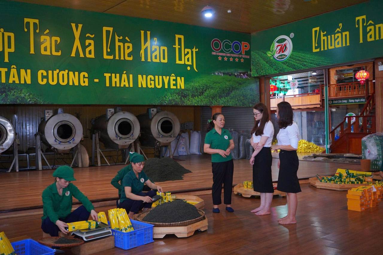 La cooperative de the Hao Dat - un client typique d'Agribank Nam Thai Nguyen - n'a cesse d'etendre son echelle grace a des flux de capitaux de credit rapides et efficaces. Photo : Huong Thao