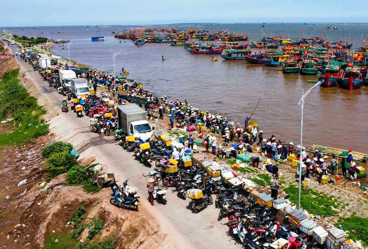Bustling scene at the fish market on the beach in Giao Phuc commune, Ninh Binh province. Photo: Ha Vi