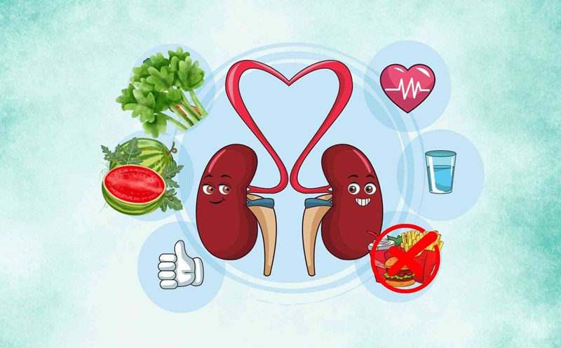 The secret to kidney detox at home to effectively filter out toxins. Graphic photo: Thai Anh