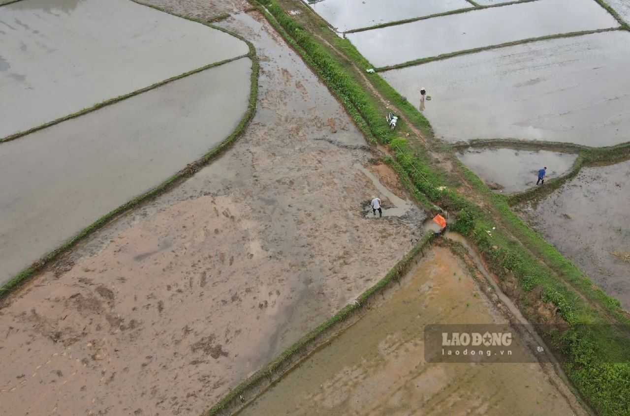 Las fuertes lluvias causan muchos daños al sistema de trabajos de riego en Lao Cai. Mard requiere 29 provincias y ciudades para garantizar la seguridad de la temporada de lluvias 2025. Foto: Van Duc