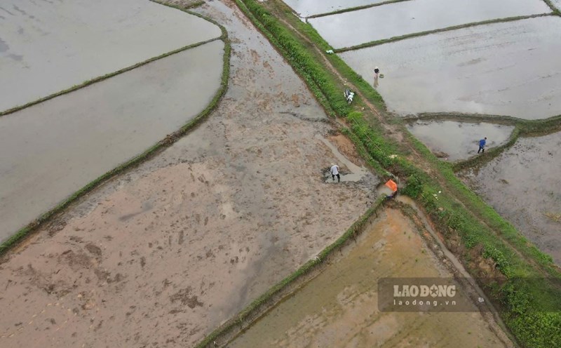 Heavy rain caused a lot of damage to the irrigation works system in Lao Cai. The Ministry of Natural Resources and Environment requires 29 provinces and cities to ensure dyke safety during the 2025 flood season. Photo: Van Duc