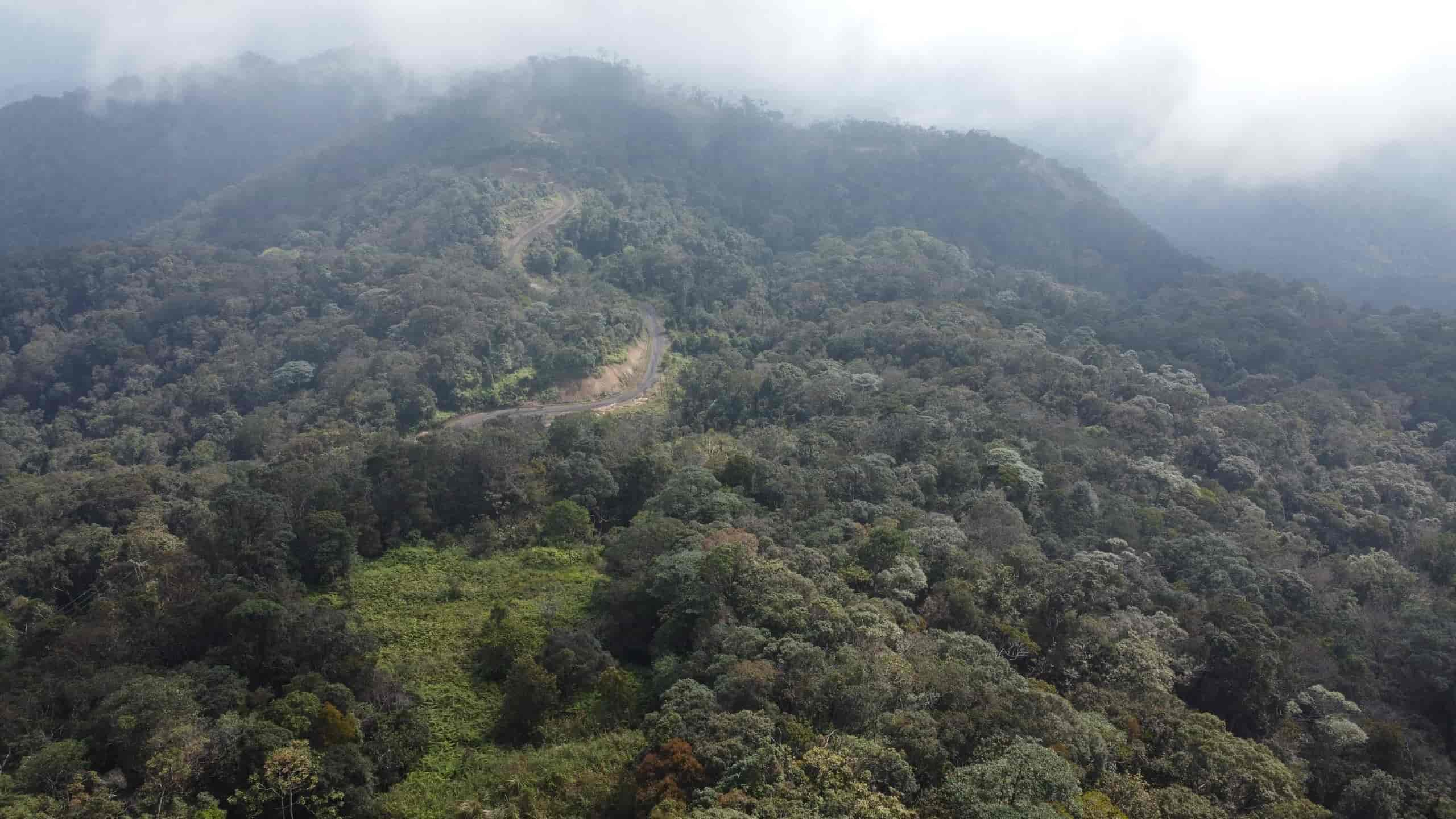 Khanh Hoa省のHon Ba自然保護区の写真。写真:Huu Long