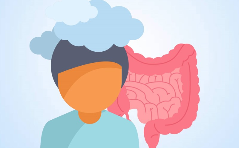 "Brain fog" can lead to poor gut health. Graphics: Thien Nhan