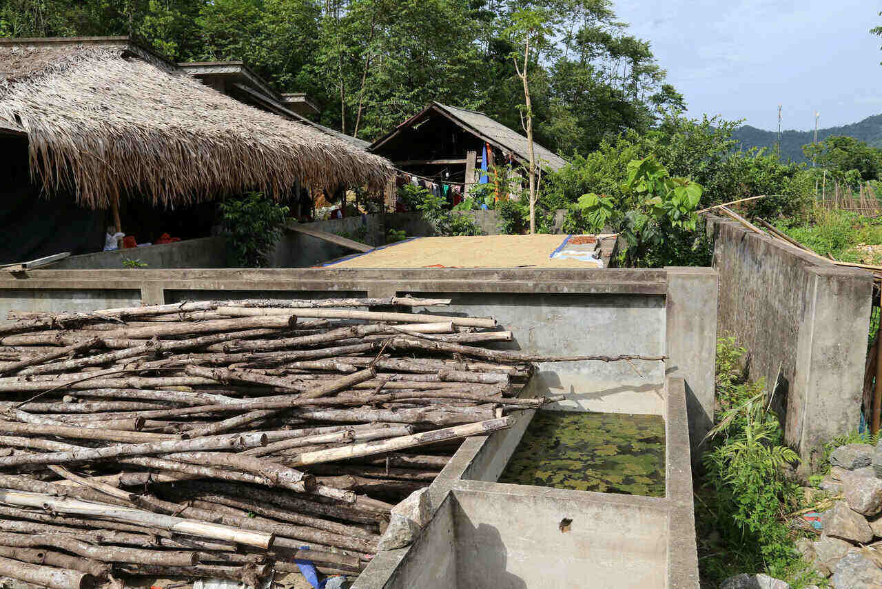푸토성 까오선비 마을 엔비 마을의 깨끗한 물 시설이 망가져서 비가 이제 사람들이 쌀을 말리기 위해 땔감을 대는 곳이 되었습니다.