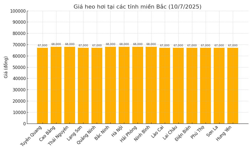 Gia heo hoi hom nay 10.7 tai khu vuc mien Bac. Do hoa: Thuy Linh.