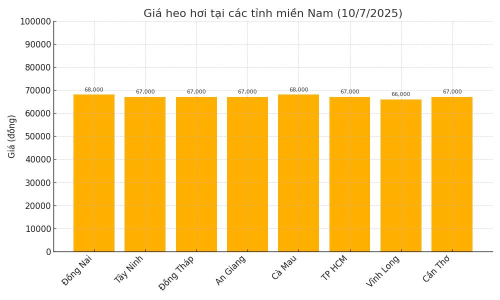 Gia heo hoi hom nay 10.7 tai khu vuc mien Nam. Do hoa: Thuy Linh.