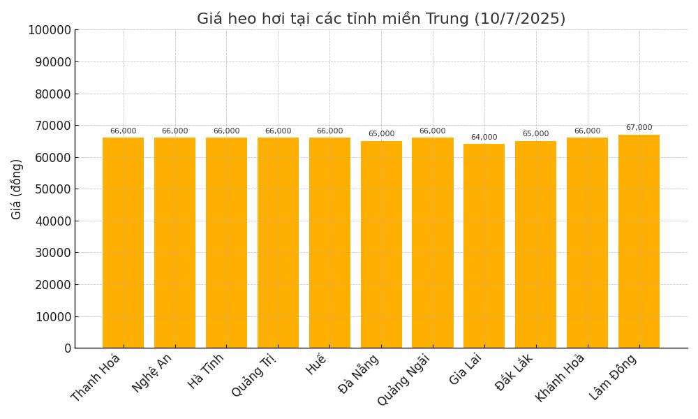 Gia heo hoi hom nay 10.7 tai khu vuc mien Trung. Do hoa: Thuy Linh.